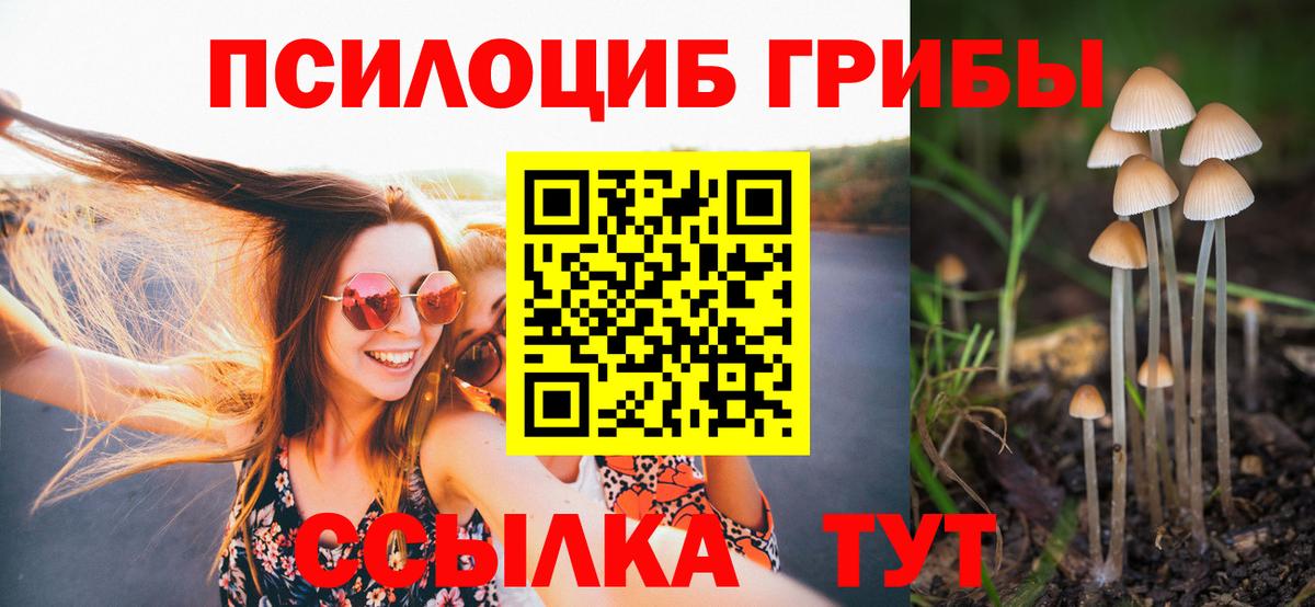 закладка  Вход с VPN  Зерноград  Галлюциногенные грибы Cubensis 